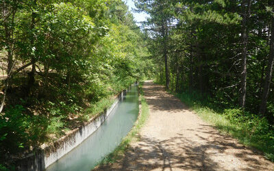 Journée consistoriale à Gap